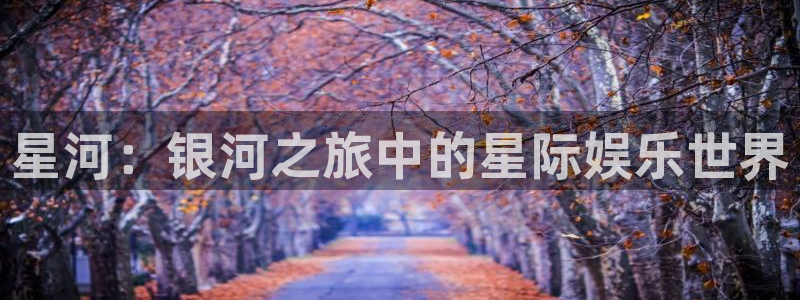 午夜黄色一级电影：星河：银河之旅中的星际娱乐世界