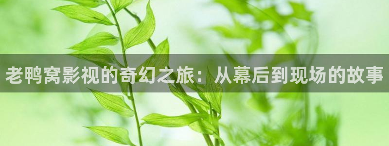 成人午夜三级电影：老鸭窝影视的奇幻之旅：从幕后到现场的故事