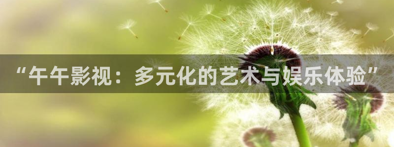 国产理论午夜电影：“午午影视：多元化的艺术与娱乐体验”