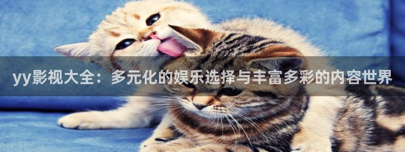 午夜大片免费看网址：yy影视大全：多元化的娱乐选择与丰富多彩的内容世界