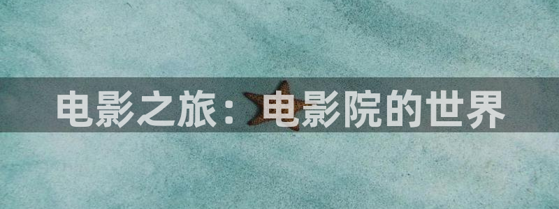 神马电影网午夜一