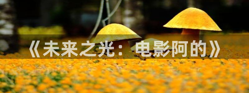 什么视频有午夜电影看片