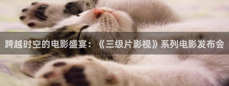 成年人午夜高清大片：跨越时空的电影盛宴：《三级片影视》系列电影发布会