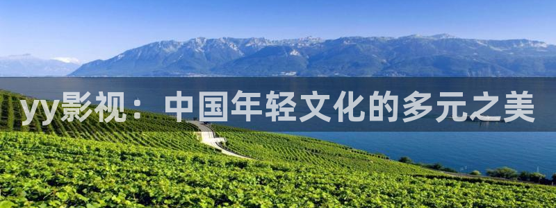 午夜动漫福利影院：yy影视：中国年轻文化的多元之美