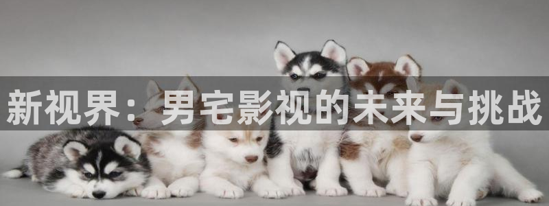 神马电影网午夜理论：新视界：男宅影视的未来与挑战