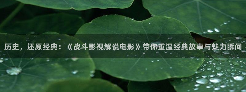 神马电影网午夜一：历史，还原经典：《战斗影视解说电影》带你重温经典故事与魅力瞬间