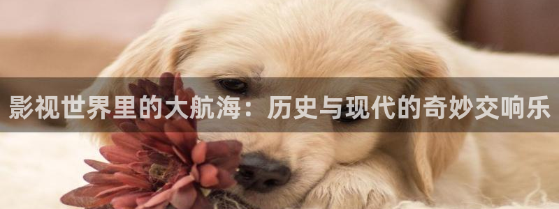 97午夜电影网：影视世界里的大航海：历史与现代的奇妙交响乐