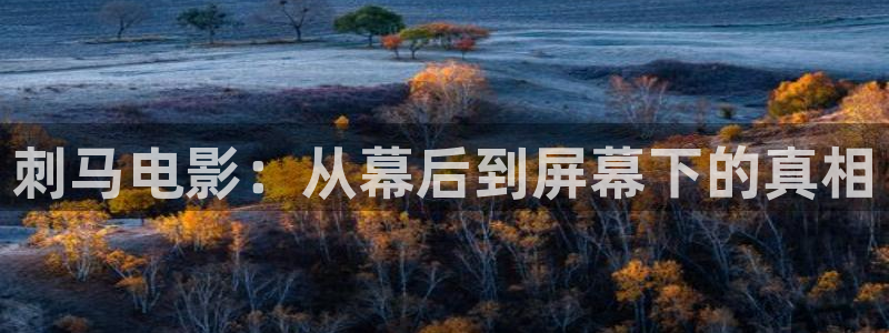 国产成年人午夜影院：刺马电影：从幕后到屏幕下的真相