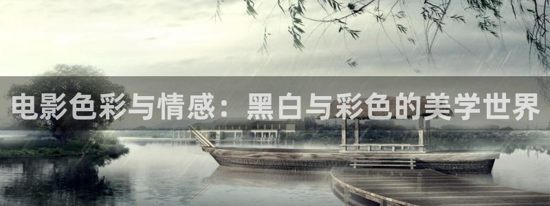 午夜星辰电影免费观看中文版：电影色彩与情感：黑白与彩色的美学世界
