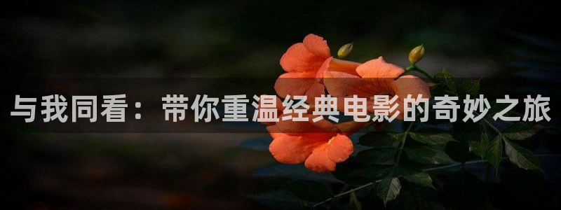 日韩美女午夜电影