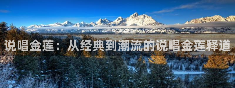 午夜爱爱电影院：说唱金莲：从经典到潮流的说唱金莲释道