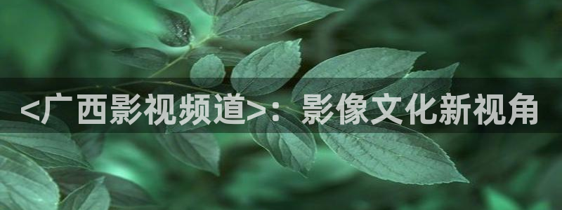 手机看午夜片：<广西影视频道>：影像文化新视角
