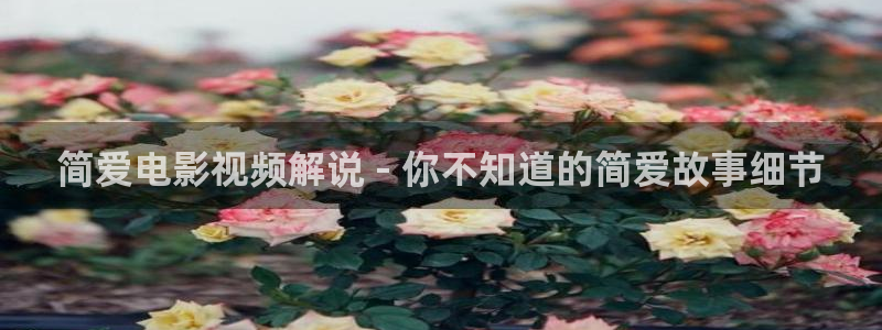午夜爽片成人：简爱电影视频解说 - 你不知道的简爱故事细节