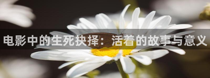 午夜成年视频在线：电影中的生死抉择：活着的故事与意义