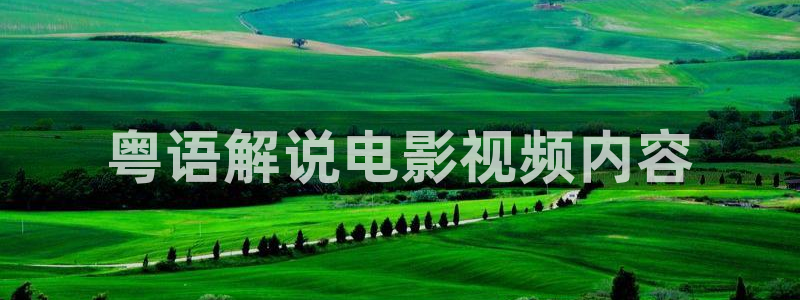 手机在线午夜电影：粤语解说电影视频内容