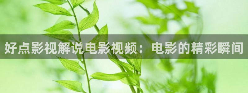 午夜影院试看福利：好点影视解说电影视频：电影的精彩瞬间