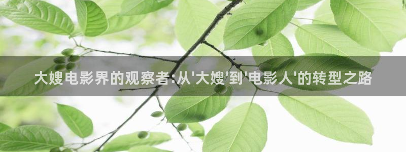 神马8888午夜影院：大嫂电影界的观察者:从\'大嫂\'到\'电影人\'的转型之路