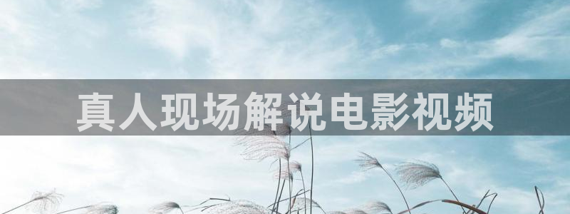 午夜网站电影：真人现场解说电影视频