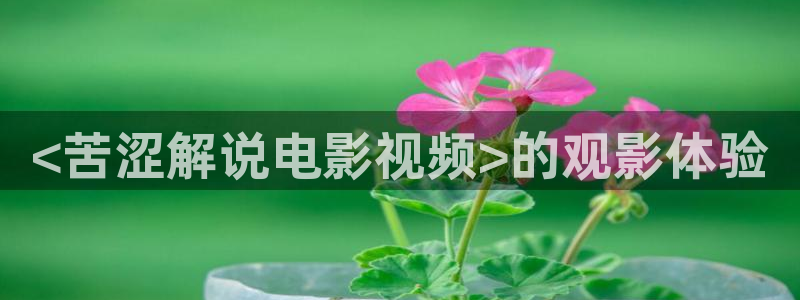 午夜伦电影在线观看：<苦涩解说电影视频>的观影体验