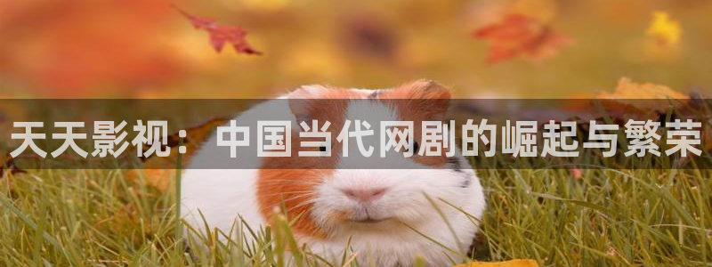 午夜风暴电影：天天影视：中国当代网剧的崛起与繁荣