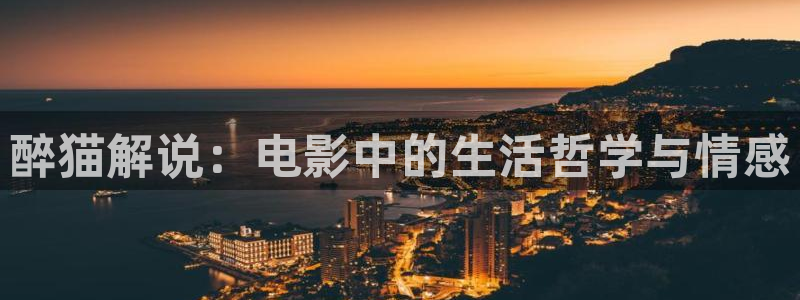 午夜影院在线看片：醉猫解说：电影中的生活哲学与情感