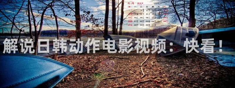4480青苹果影院午夜伦理：解说日韩动作电影视频：快看！