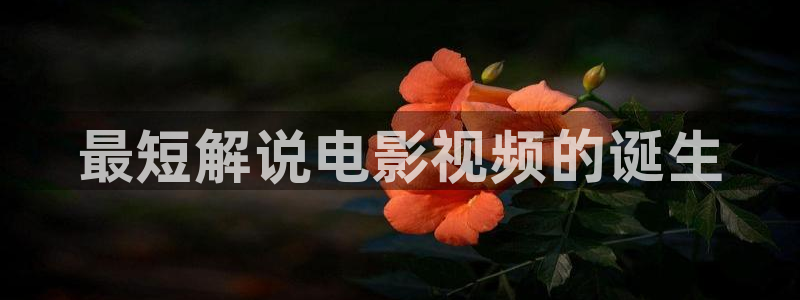 飘雪影院午夜理论片：最短解说电影视频的诞生
