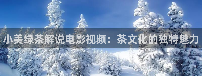 日韩伦理午夜电影：小美绿茶解说电影视频：茶文化的独特魅力