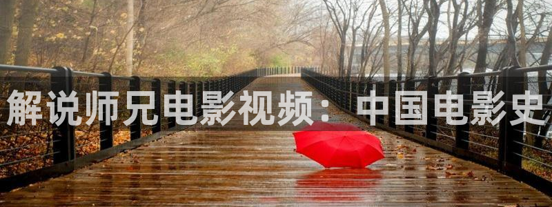 老司机午夜性大片：解说师兄电影视频：中国电影史