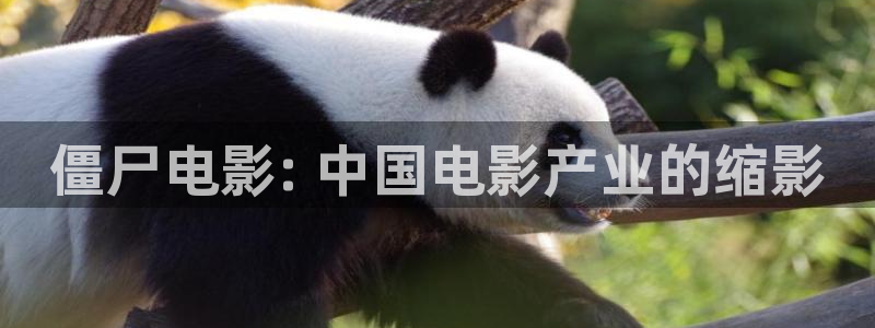 男人午夜电影：僵尸电影: 中国电影产业的缩影