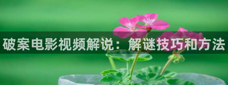午夜免费影院在线观看：破案电影视频解说：解谜技巧和方法