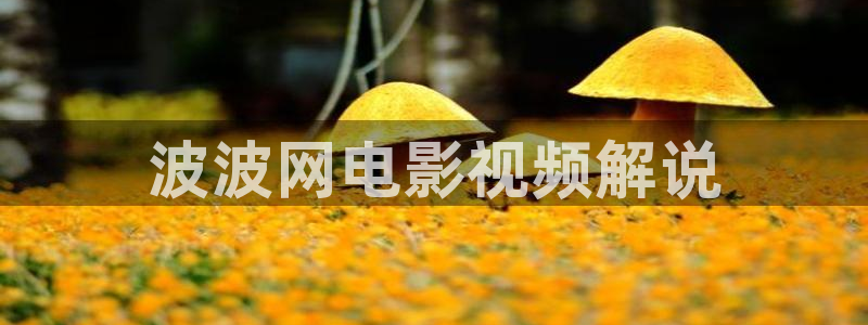 国产av午夜：波波网电影视频解说