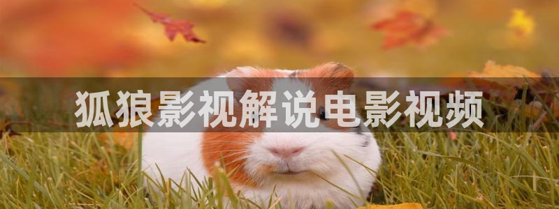久久午夜影视：狐狼影视解说电影视频