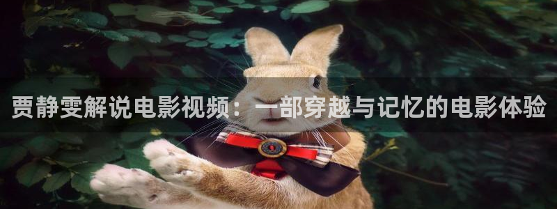 岛国午夜在线播放：贾静雯解说电影视频：一部穿越与记忆的电影体验